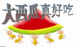 瓜瓜吃瓜ppt,揭秘PPT中的趣味与智慧