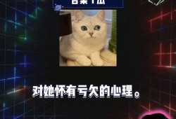 明星八卦爆料网站推荐 娱乐圈小说 吃瓜视频在线观看免费版,揭秘明星幕后，免费观看吃瓜视频小说