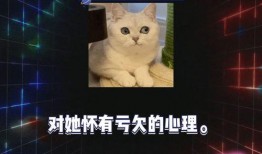 明星八卦爆料网站推荐 娱乐圈小说 吃瓜视频在线观看免费版,揭秘明星幕后，免费观看吃瓜视频小说